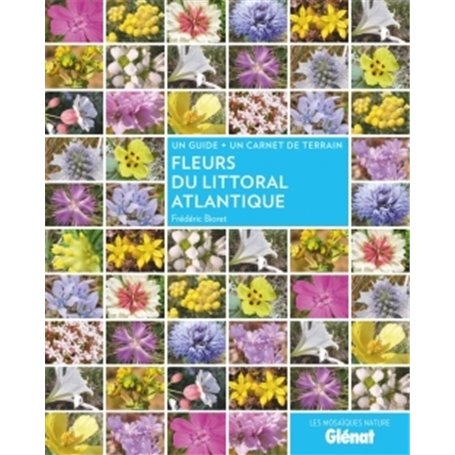 Fleurs du littoral atlantique
