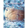 Colonisation - Tome 06