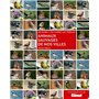Animaux sauvages de nos villes