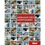 Animaux des montagnes