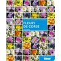Fleurs de Corse