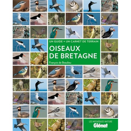 Oiseaux de Bretagne