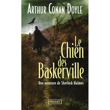 Le chien des Baskerville