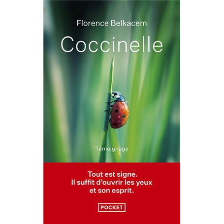Coccinelle