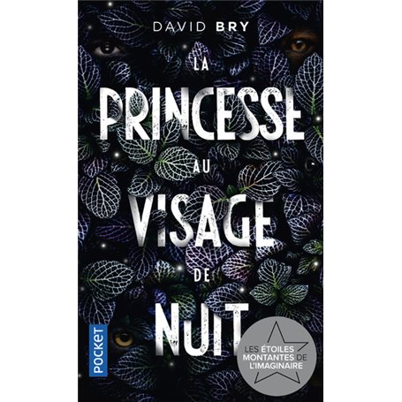 La Princesse au visage de nuit