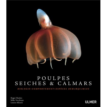 Poulpes, seiches et calmars