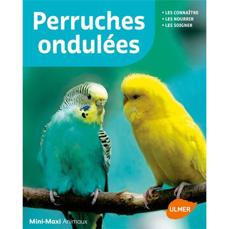 Perruches ondulées