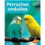 Perruches ondulées