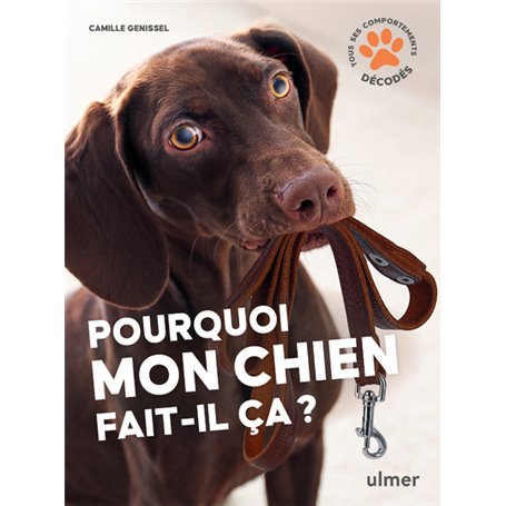 Pourquoi mon chien fait-il ça?