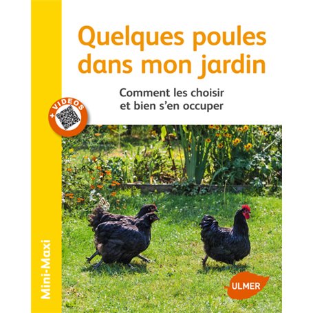 Quelques poules dans mon jardin. Comment les choisir et bien s'en occuper