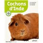 Cochons d'Inde