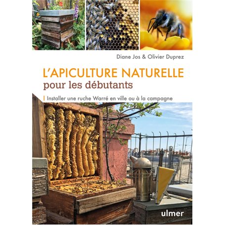 L'apiculture naturelle pour les débutants
