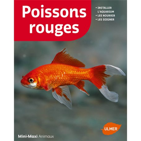 Poissons rouges (NE)