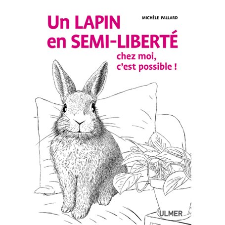 Un lapin en semi-liberté chez moi, c'est possible !