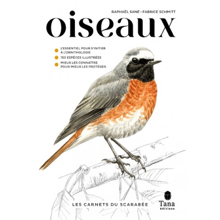Les carnets du scarabée - Oiseaux