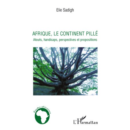 Afrique, le continent pillé
