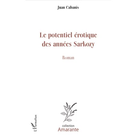 Le potentiel érotique des années Sarkozy
