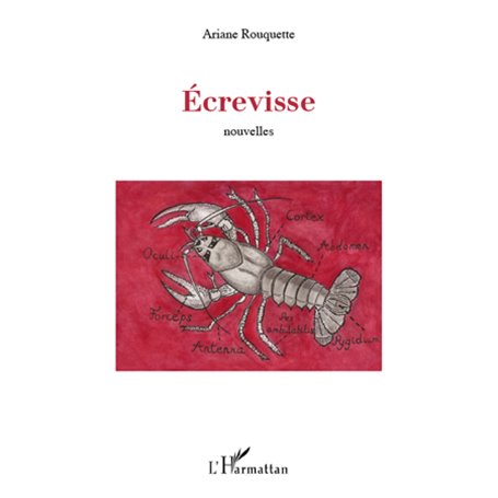 ECREVISSE   NOUVELLES