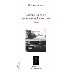 Comme un chien qui traverse l'autoroute