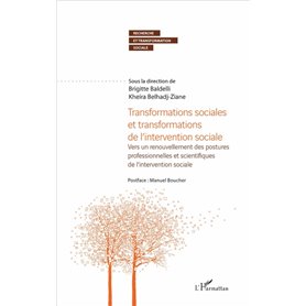 Transformations sociales et transformations de l'intervention sociale