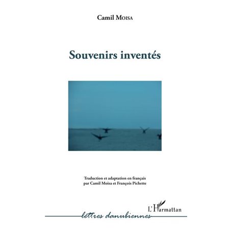 Souvenirs inventés