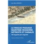Le risque passage maritime resserré, détroits et canaux