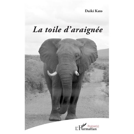 La toile d'araignée