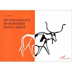 Reconnaissance du rupestre dans l'Ahnet