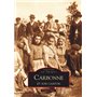 Carbonne et son canton
