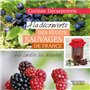 A la découverte des fruits sauvages