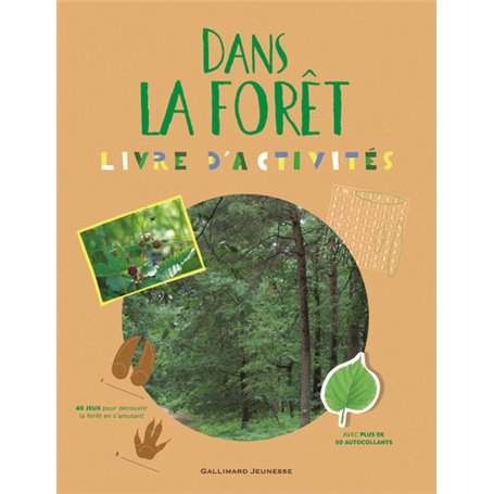 Dans la forêt