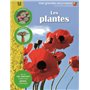 Les plantes