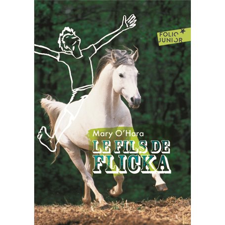 Le fils de Flicka
