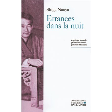 Errances dans la nuit