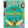 Construis et découvre les insectes et autres petites bêtes