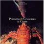 POISSONS ET CRUSTACES DE CORSE