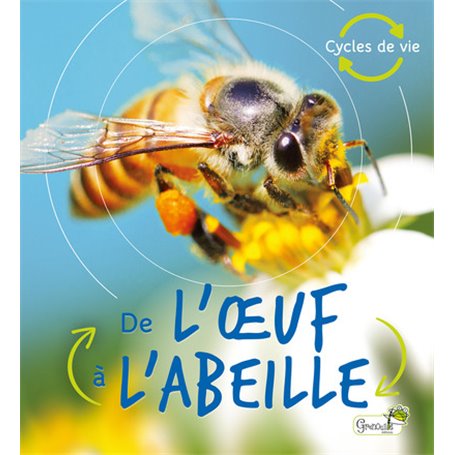 De l'oeuf à l'abeille