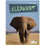L'éléphant