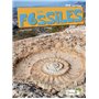 Les fossiles