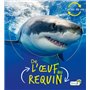 De l'oeuf au requin
