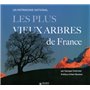Les plus vieux arbres de France