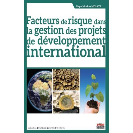Facteurs de risque dans la gestion des projets de développement international