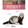 Furet