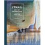 L'émail : art et techniques