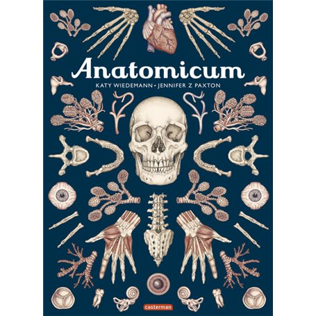 Anatomicum