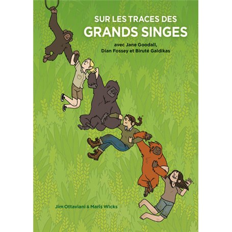 Sur les Traces des Grands Singes
