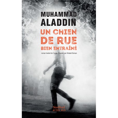 Un chien de rue bien entraîné