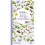 Guide des plantes sauvages comestibles