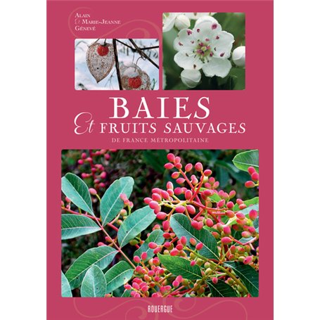 Baies et fruits sauvages de France métropolitaine