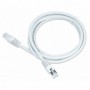 Câble Réseau Rigide FTP 6ème Catégorie GEMBIRD 5m Cat6 RJ-45 LSZH (Ø 6